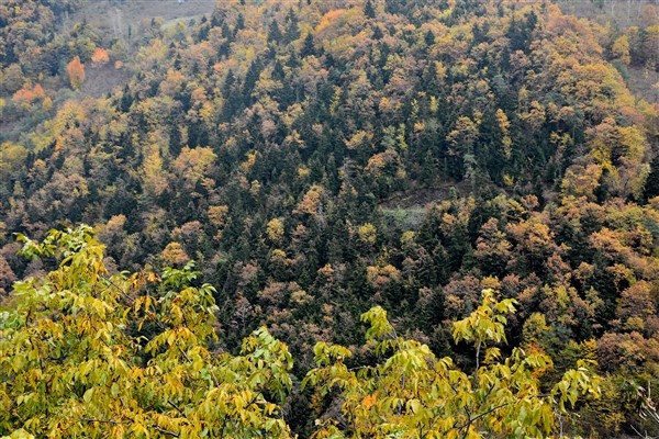 Trabzon Yaylaları Sonbahar'da da bir başka güzel 9