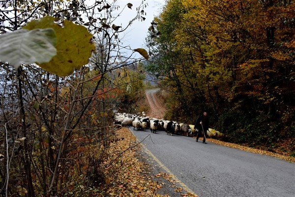 Trabzon Yaylaları Sonbahar'da da bir başka güzel 7