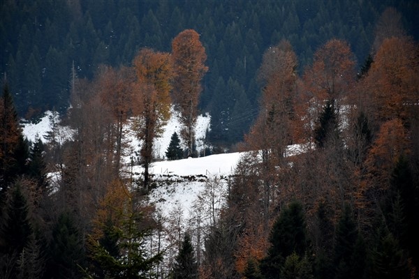 Trabzon Yaylaları Sonbahar'da da bir başka güzel 3