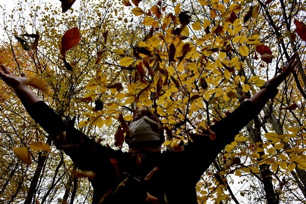 Trabzon Yaylaları Sonbahar'da da bir başka güzel 10