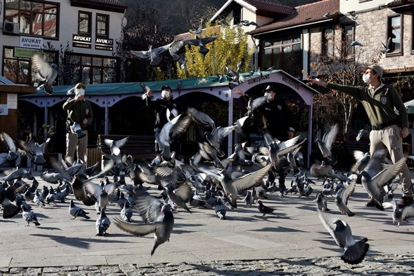 Gümüşhane'de aç kalan güvercinlerin imdadına polisler yetişti 2