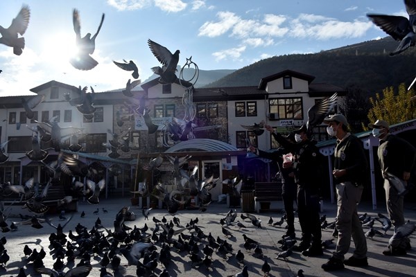 Gümüşhane'de aç kalan güvercinlerin imdadına polisler yetişti 3