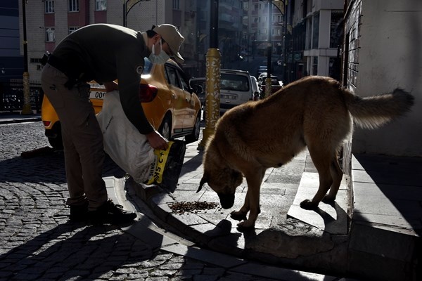 Gümüşhane'de aç kalan güvercinlerin imdadına polisler yetişti 14