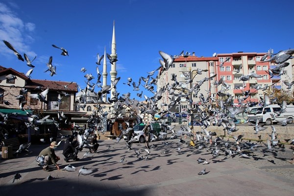 Gümüşhane'de aç kalan güvercinlerin imdadına polisler yetişti 11