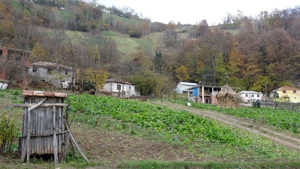 Trabzon'da sokaklar boşaldı tarlalarda hareketlilik var 7