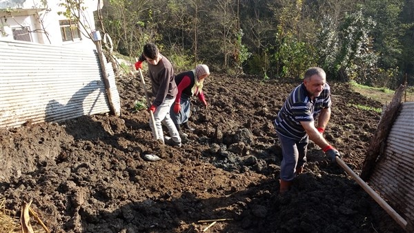 Trabzon'da sokaklar boşaldı tarlalarda hareketlilik var 11