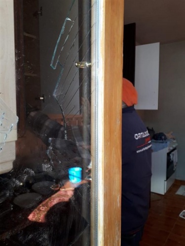 Doğu Karadeniz'de ayılar evleri talan etti 4