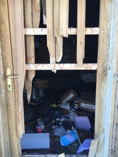 Doğu Karadeniz'de ayılar evleri talan etti 11