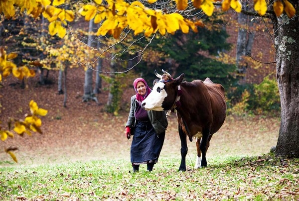 Karadeniz'in çalışkan kadınlarını pandemi de durduramadı 13