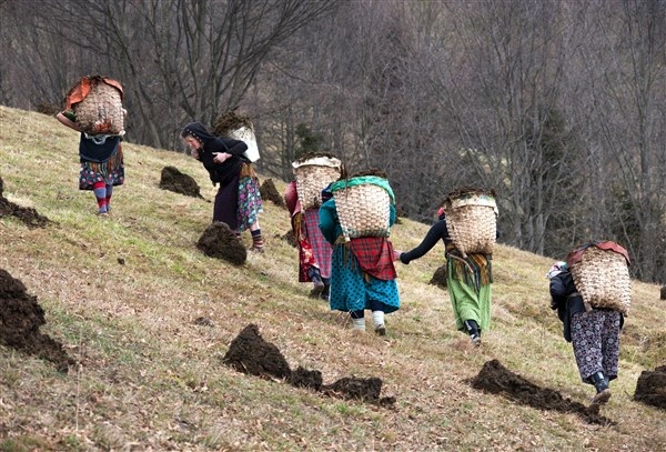 Karadeniz'in çalışkan kadınlarını pandemi de durduramadı 4