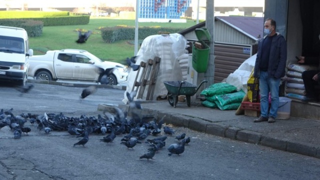 Trabzon'da 50 yıldır aralıksız her gün bunu yapıyorlar 7