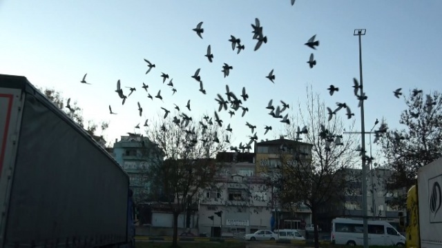 Trabzon'da 50 yıldır aralıksız her gün bunu yapıyorlar 3