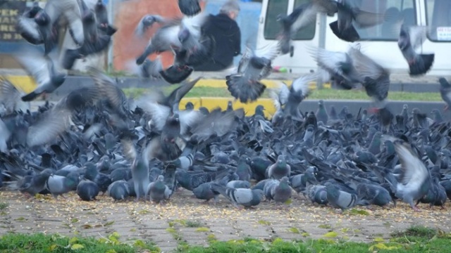 Trabzon'da 50 yıldır aralıksız her gün bunu yapıyorlar 6