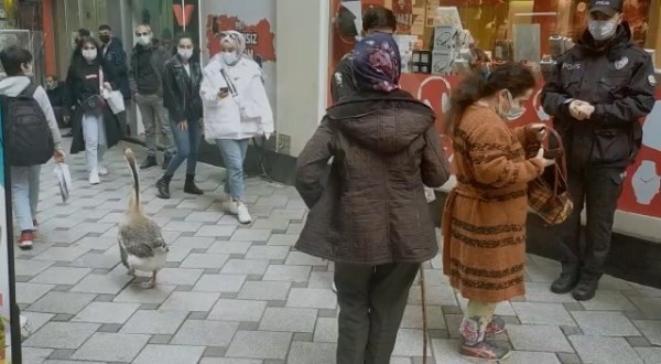 Trabzon'da ilginç görüntü! Gören dönüp bir daha baktı 3