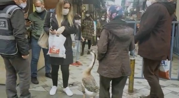 Trabzon'da ilginç görüntü! Gören dönüp bir daha baktı 4