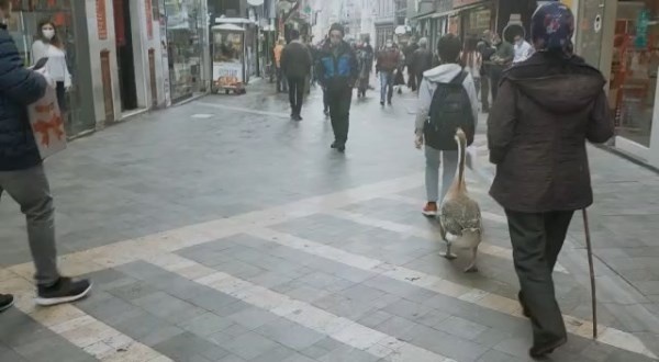 Trabzon'da ilginç görüntü! Gören dönüp bir daha baktı 5