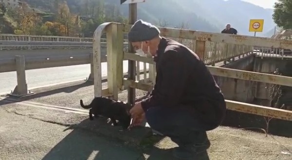 Trabzon'da bakkal 20 sokak hayvanına bakıyor 5