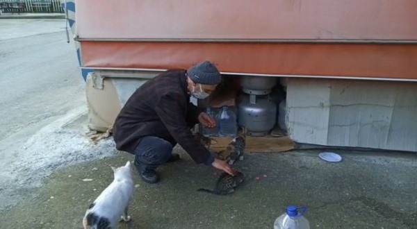 Trabzon'da bakkal 20 sokak hayvanına bakıyor 2