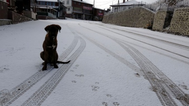 Zigana beyaza büründü 6