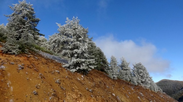 Zigana beyaza büründü 2