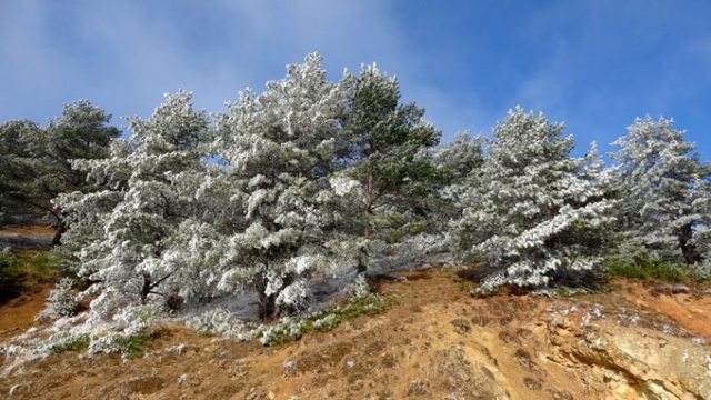 Zigana beyaza büründü 12