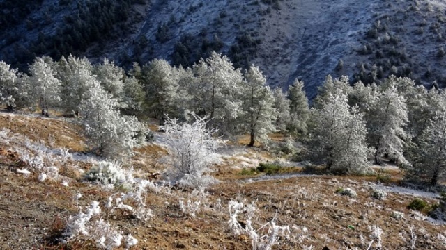 Zigana beyaza büründü 10