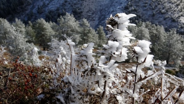 Zigana beyaza büründü 13