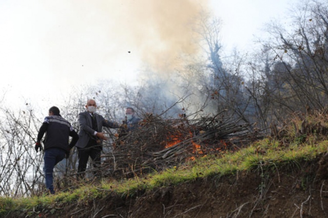 Trabzon'da hızla yayılıyor! 7 mahalle karantinada ve imha edildi... 2