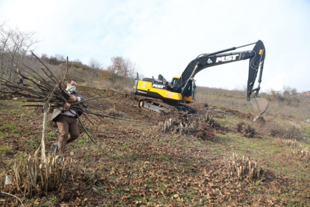 Trabzon'da hızla yayılıyor! 7 mahalle karantinada ve imha edildi... 7