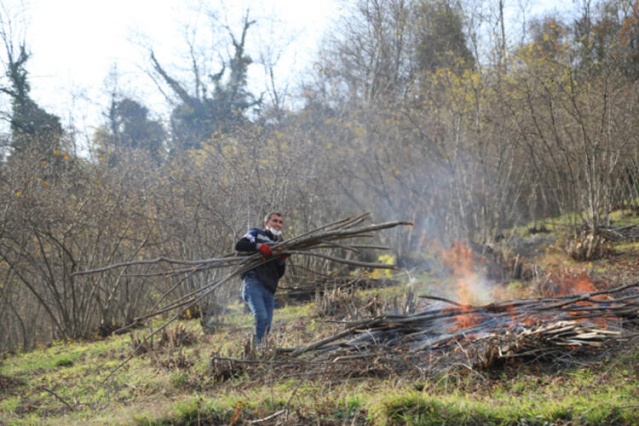 Trabzon'da hızla yayılıyor! 7 mahalle karantinada ve imha edildi... 5