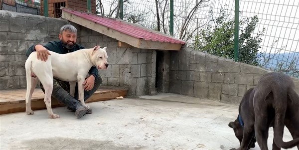 El konulan köpeklerini her gün görmeye gidiyor 2