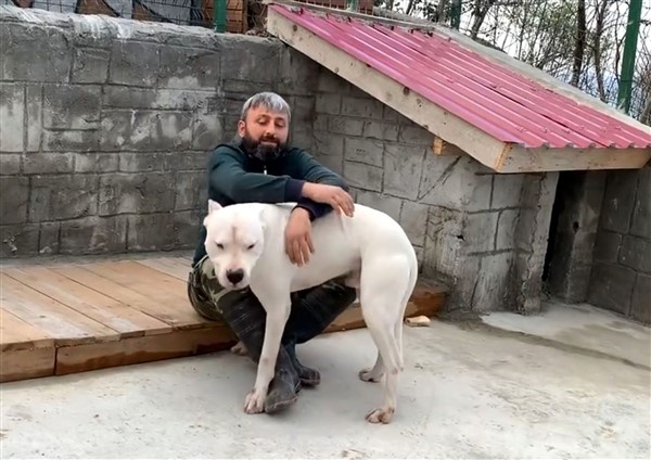 El konulan köpeklerini her gün görmeye gidiyor 6