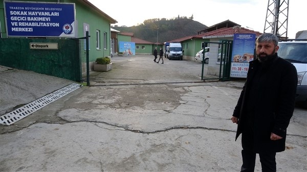 El konulan köpeklerini her gün görmeye gidiyor 4