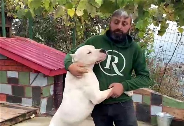 El konulan köpeklerini her gün görmeye gidiyor 7
