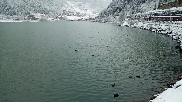 Uzungöl’den kar manzaraları 8