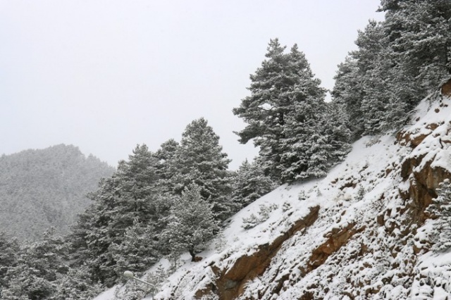 Zigana Dağı’nda sezonun ilk karı yağdı: Yol beyaza büründü 11