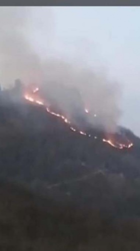 Doğu Karadeniz'in ciğerleri yanıyor 3