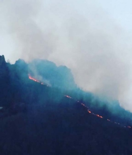 Doğu Karadeniz'in ciğerleri yanıyor 5