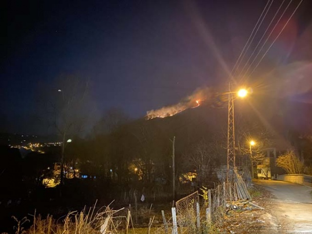 Doğu Karadeniz'in ciğerleri yanıyor 6