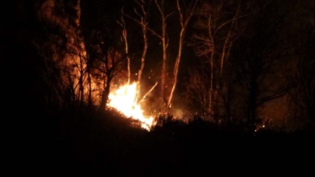 Doğu Karadeniz'in ciğerleri yanıyor 12