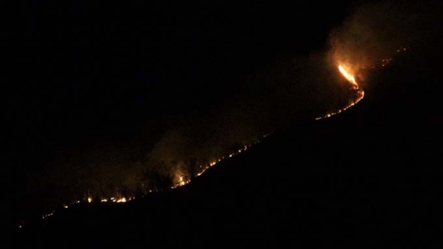 Doğu Karadeniz'in ciğerleri yanıyor 7