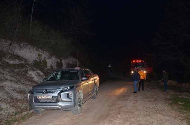 Doğu Karadeniz'in ciğerleri yanıyor 11