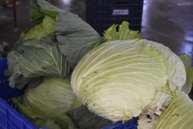 Pandemi döneminde lahanaya ilgi arttı 2