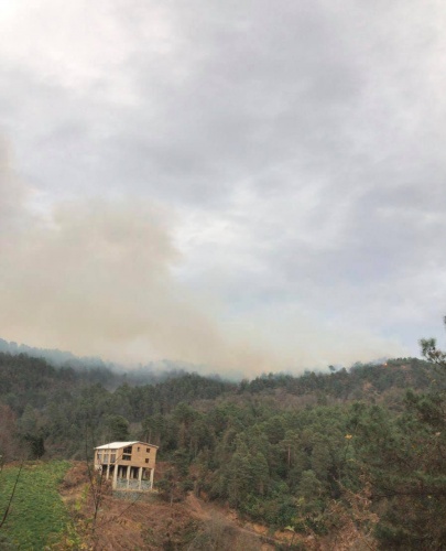 Doğu Karadeniz'de 4 ilde 23 noktada orman yangını 4