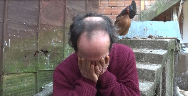 Trabzon'da ölen inekleri için gözyaşı döken kadın bayıldı 6