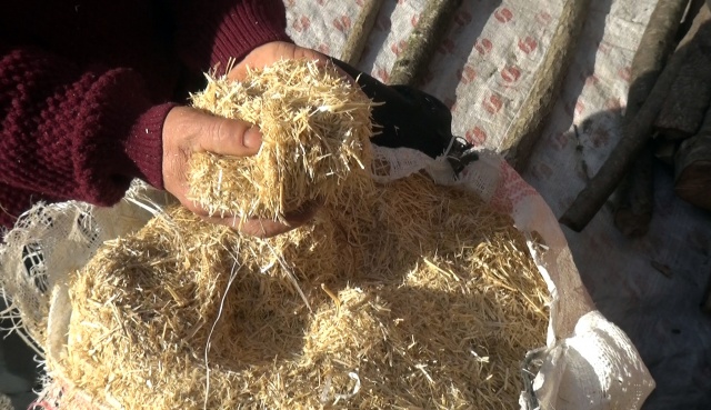 Trabzon'da ölen inekleri için gözyaşı döken kadın bayıldı 12