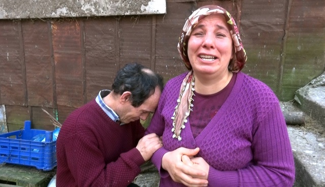 Trabzon'da ölen inekleri için gözyaşı döken kadın bayıldı 9