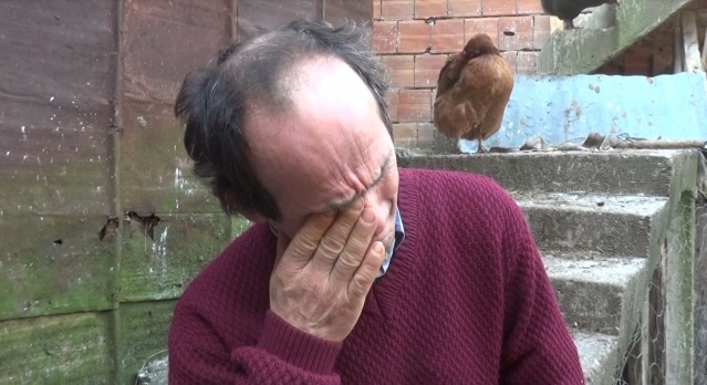 Trabzon'da ölen inekleri için gözyaşı döken kadın bayıldı 5