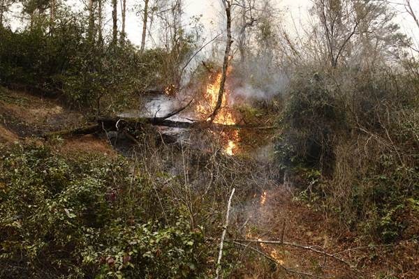 Trabzon'da 2 ilçede orman yangını 5