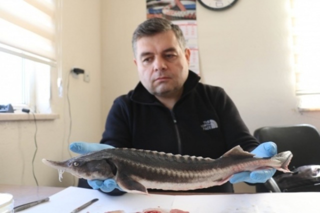 Dünyanın en pahalı yiyeceği 3